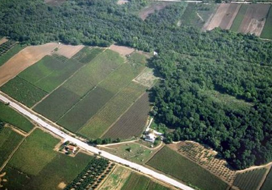 Riserva Bosco Don Venanzio Pollutri Vasto